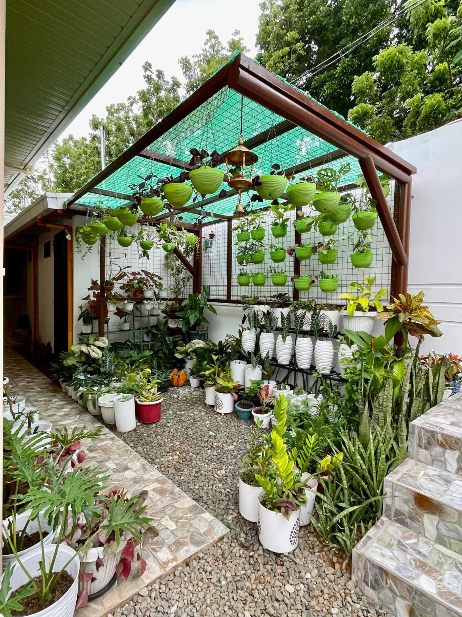 Patterville Transient House Iba Zewnętrze zdjęcie